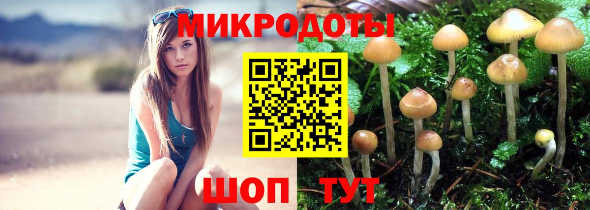 Псилоцибиновые грибы GOLDEN TEACHER  Вход с VPN  цены   Галлюциногенные грибы ЛСД  Славянск-на-Кубани 